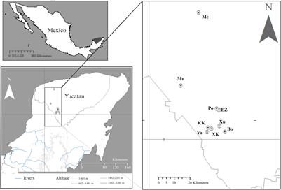 Signs of Urban Evolution? Morpho-Functional Traits Co-variation Along a Nature-Urban Gradient in a Chagas Disease Vector